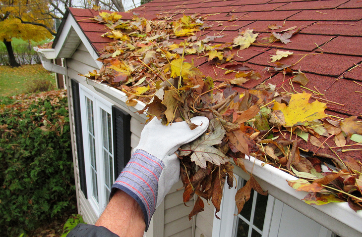 gutter cleaning